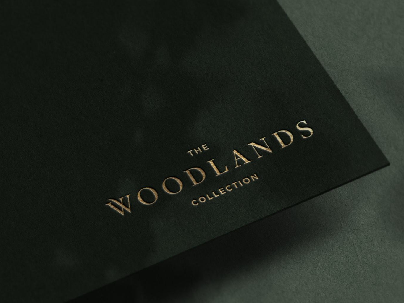 Woodlands Collection — branding and marketing by HDEY